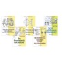 Pack "Mouvements mécaniques"