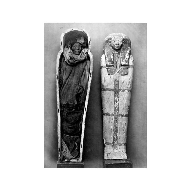 La trouvaille de Deir-el-Bahari